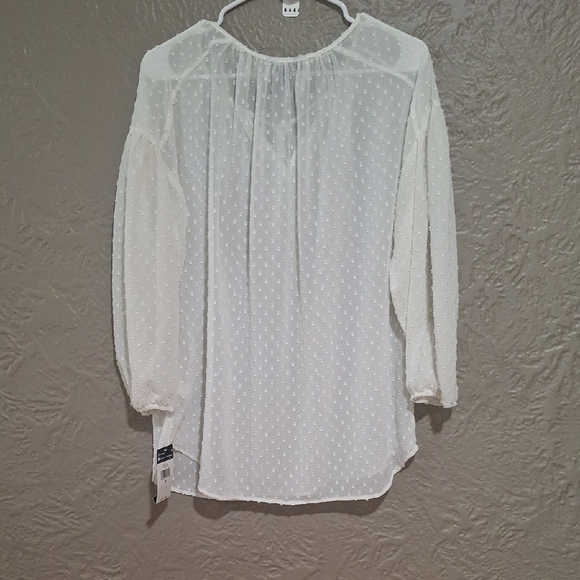 NEW Chaps wome's Ivory Sheer Polka Dot Blouse Size M - Picture 6 of 9